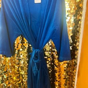 Luxurious Blue Bathrobe (vintage)